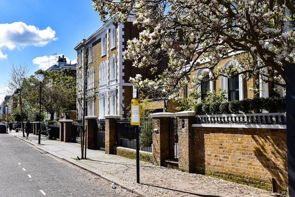 A residential street in Highbury featuring a row of historic brick and white-stucco houses with large sash windows, decorative mouldings, and iron fencing. The street is lined with blossoming trees with white flowers, casting dappled shadows on the pavement and fences. A yellow bus stop sign is visible in the foreground, next to a paved sidewalk. The scene is captured during daytime with clear blue skies and a few scattered clouds. The street appears quiet with no visible moving vehicles or pedestrians. The environment suggests a peaceful neighbourhood suitable for home relocation or furniture transport, aligning with the services offered by Removals Highbury, who specialise in removals and moving logistics within the area.